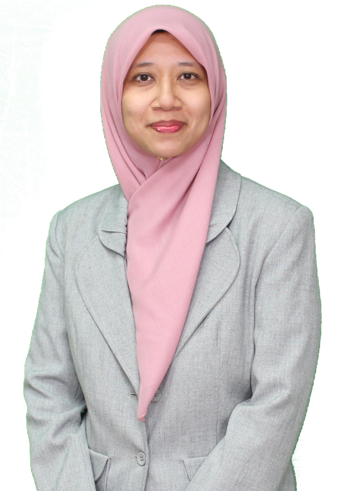 Ir. Ts. Dr. Nani Fadzlina Binti Naim